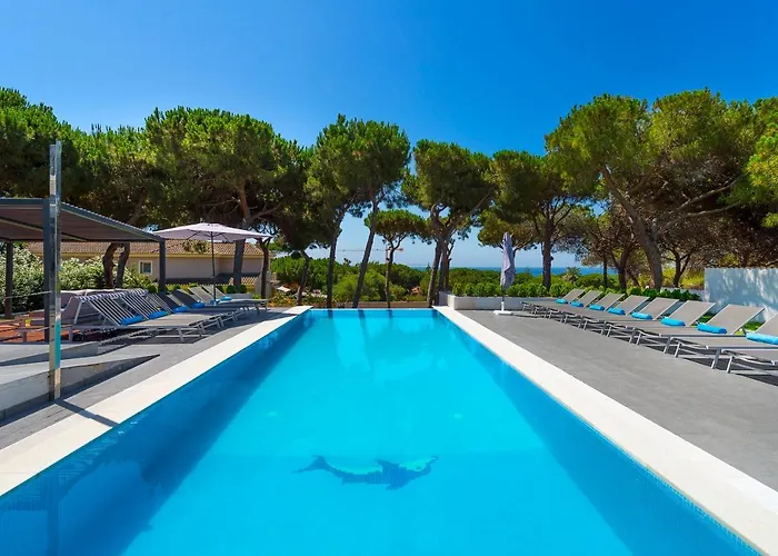 Siempre Domingo Willa *