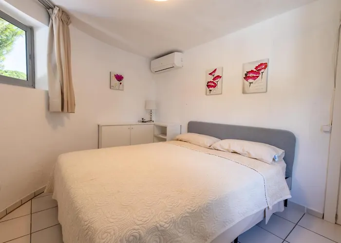 Siempre Domingo Marbella