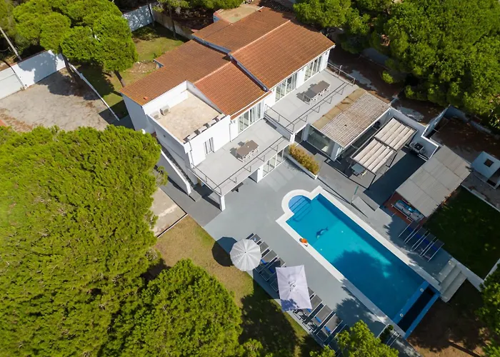 Siempre Domingo Willa *